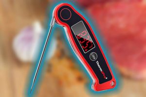 best instant read thermometer